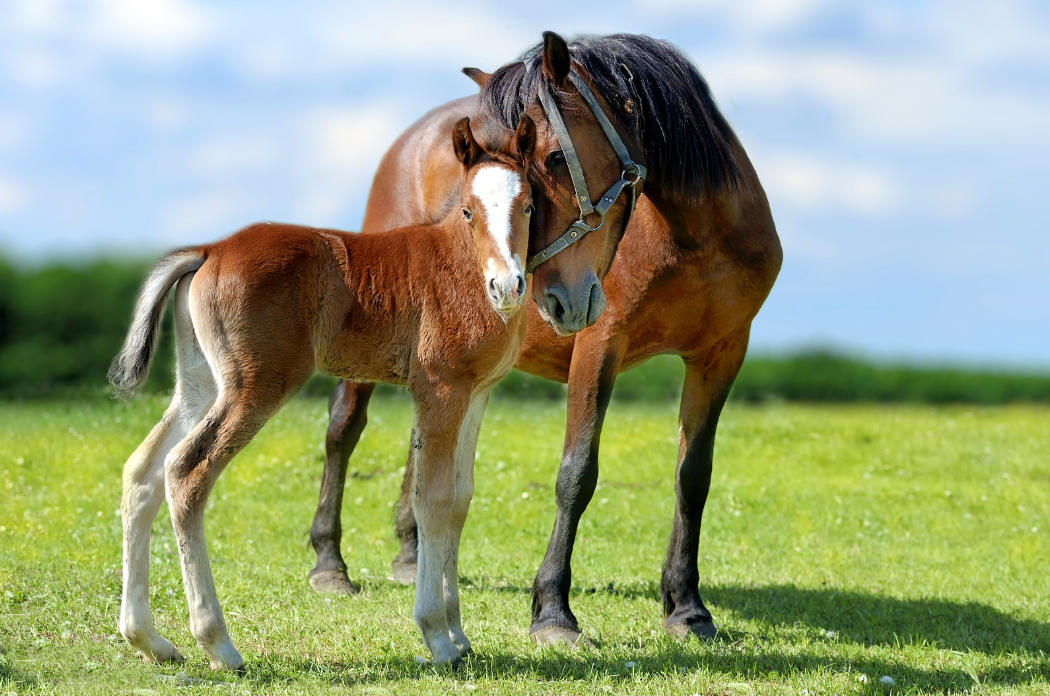 pm uvodni foto clanek 2222