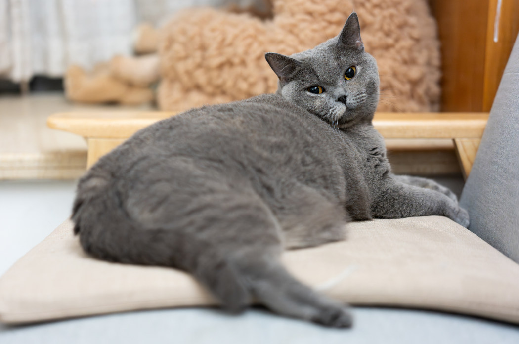 pm foto clanek 6 harani 2