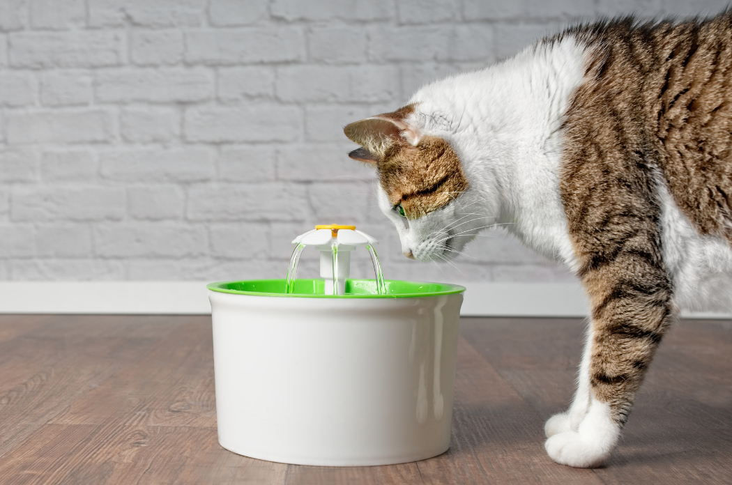 pm uvodni foto clanek 222222