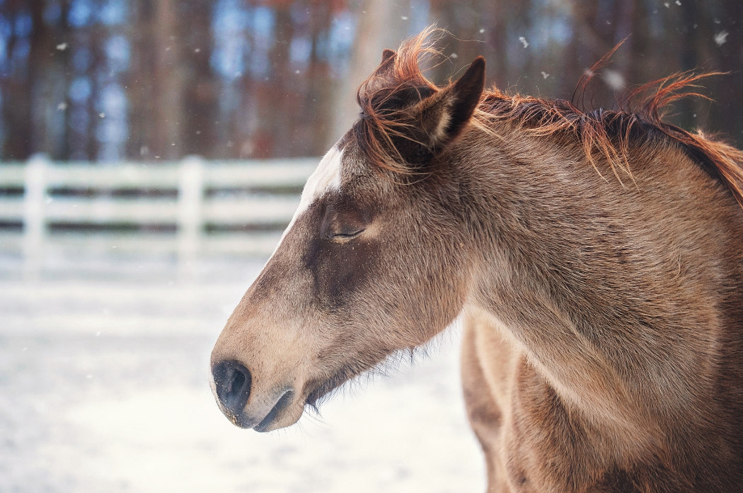 pm uvodni foto clanek 2222