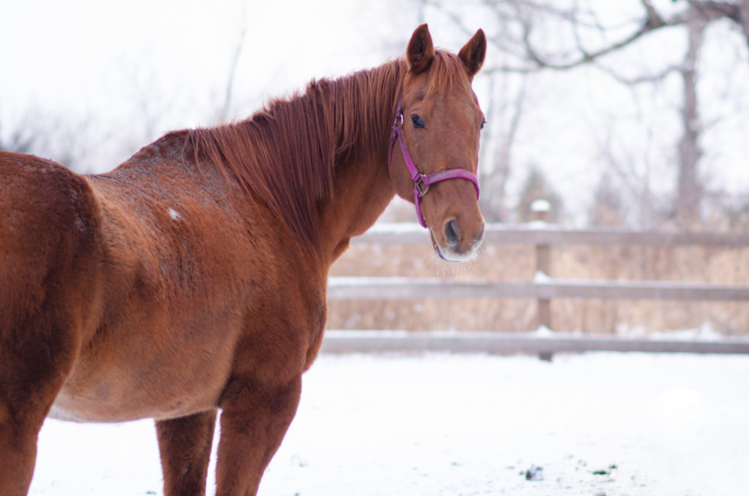 pm uvodni foto clanek 222222