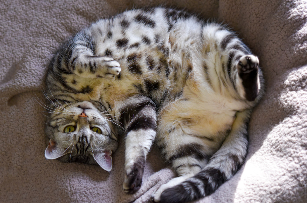 pm uvodni foto clanek 222222