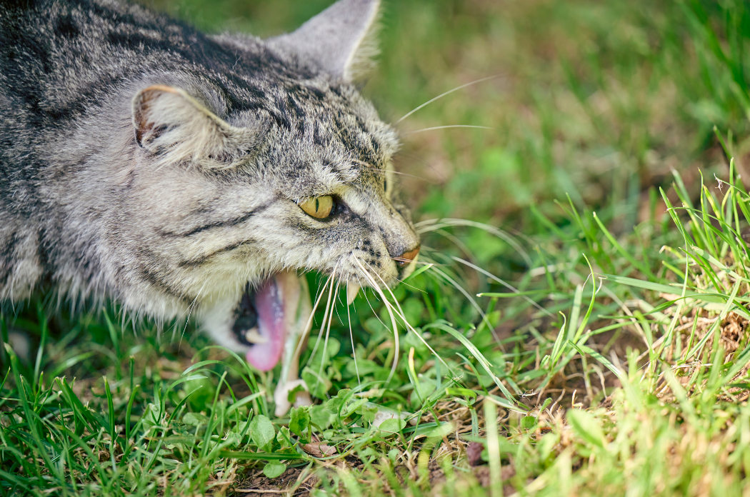 pm foto clanek 5 č2