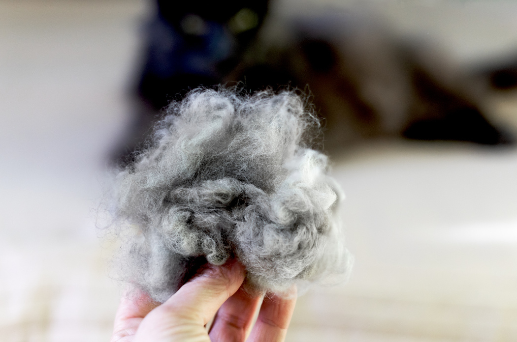 pm uvodni foto clanek 2222