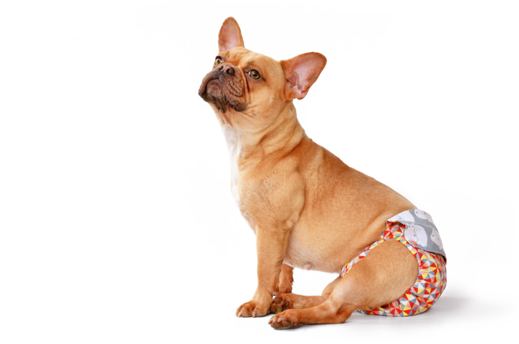 pm foto clanek 6 harani 2