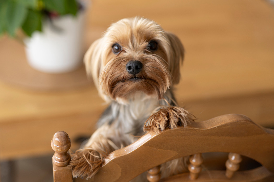 pm foto clanek 6 harani 3