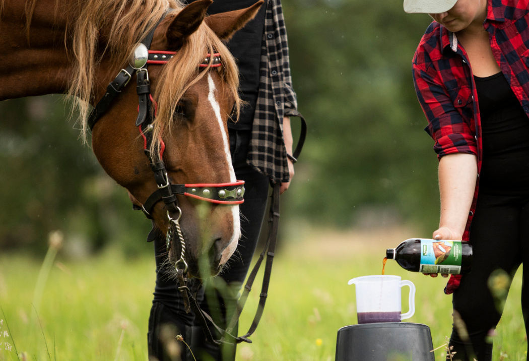 pm uvodni foto clanek 222222