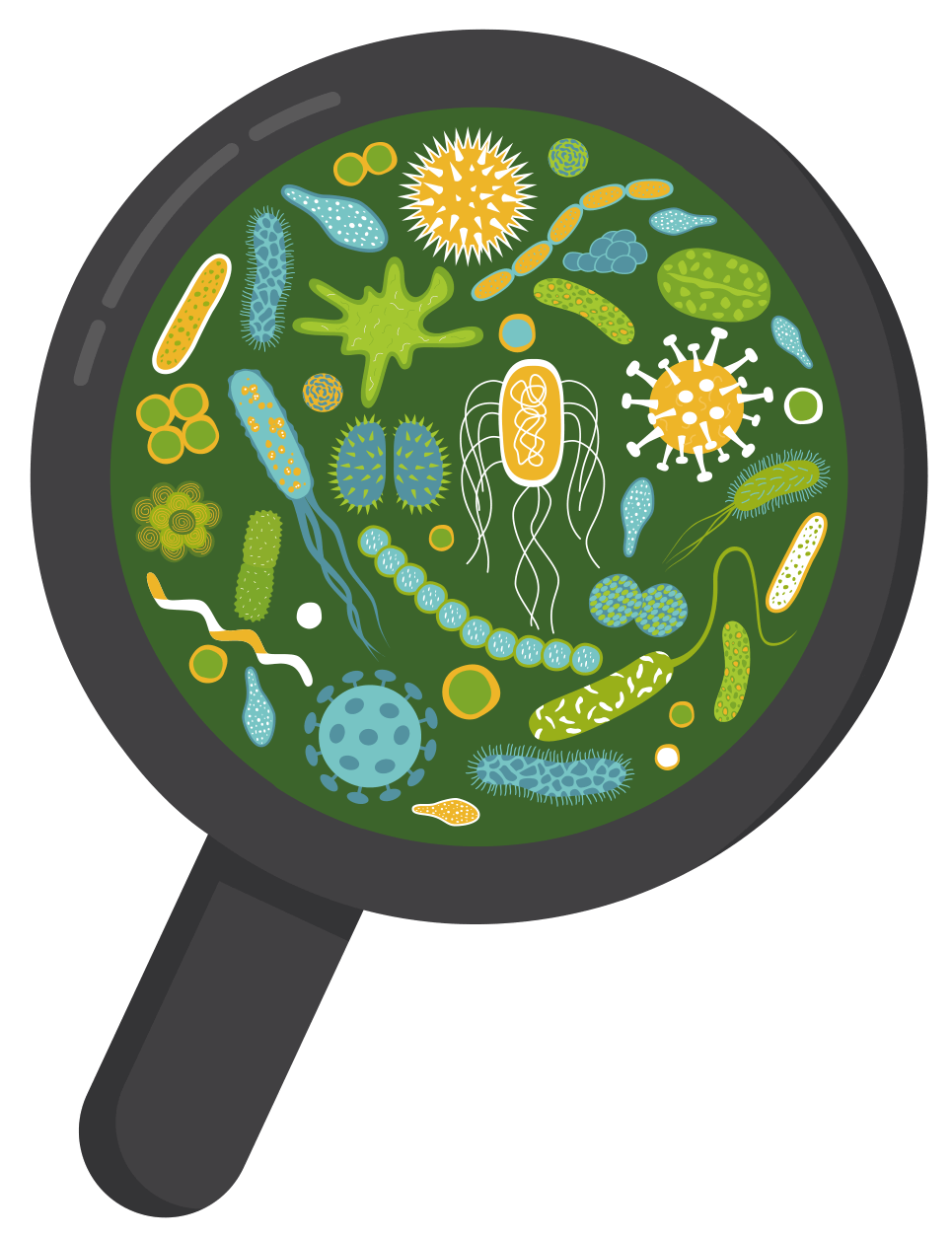 precision microbes infographic 2 1